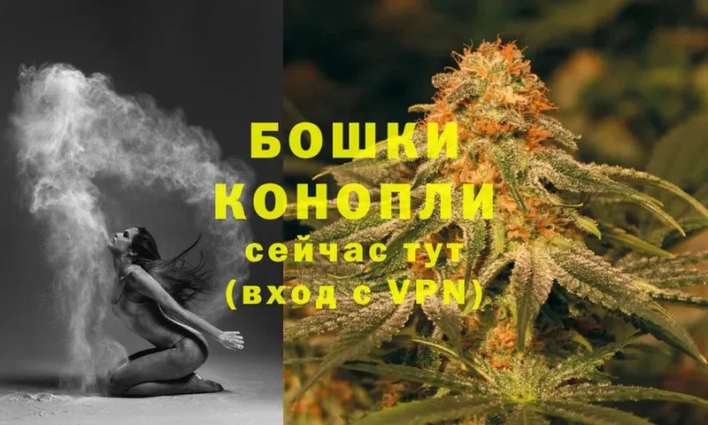 купить наркотик  Гремячинск  Шишки марихуана Ganja 